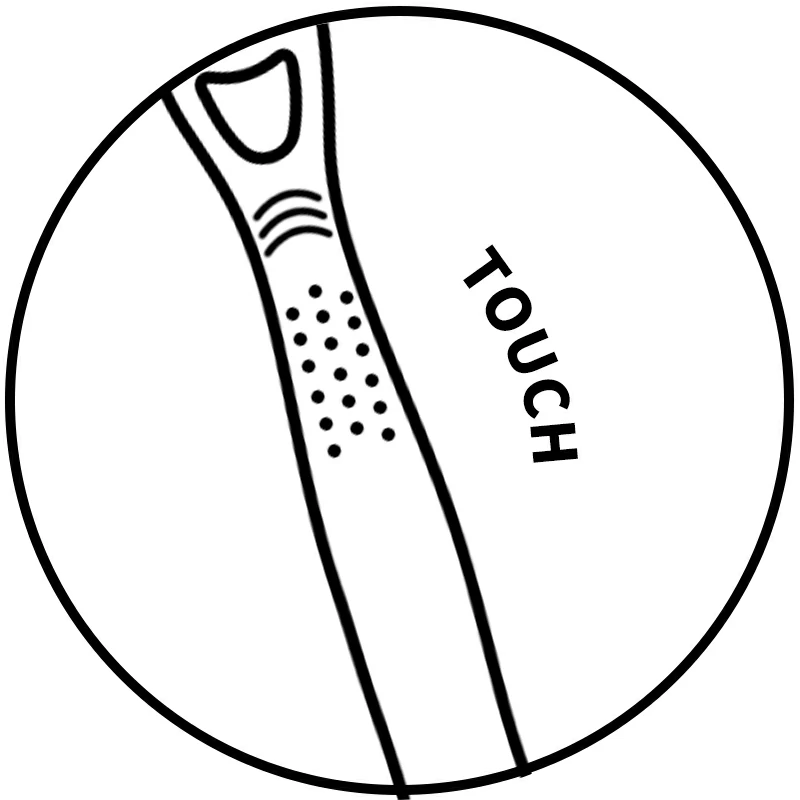 Image1